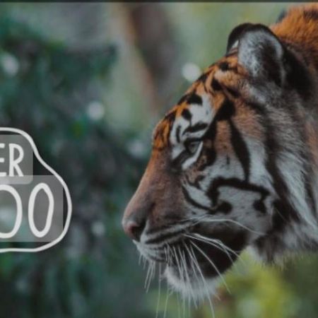 The Beautiful Bungalow Amazing Location For Chester & Zoo Wervin Zewnętrze zdjęcie